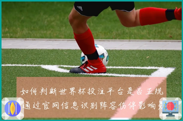 如何判断世界杯投注平台是否正规 通过官网信息识别阵容伤停影响分析